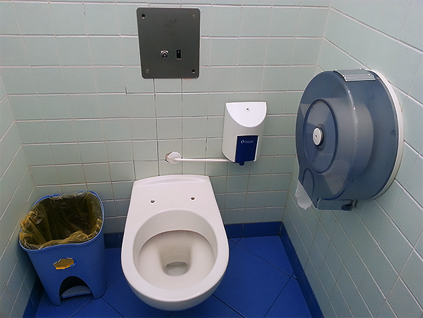 There is a direct correlation between a clean public bathroom and a lack of a toilet seat.